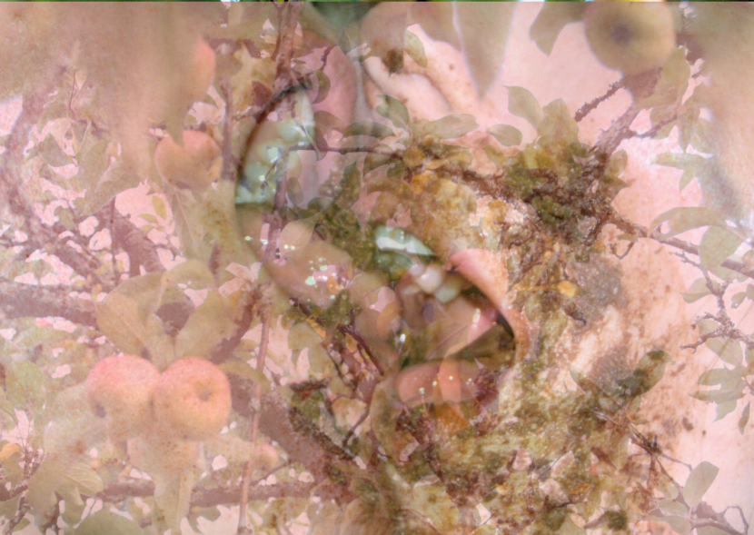 Photo: Terhi Hartikainen PR photo